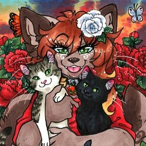 Meet your Posher, Katie